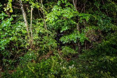 Oberstenfeld: Unfall auf ehemaliger Rennstrecke! PKW kracht in eine Waldboeschung